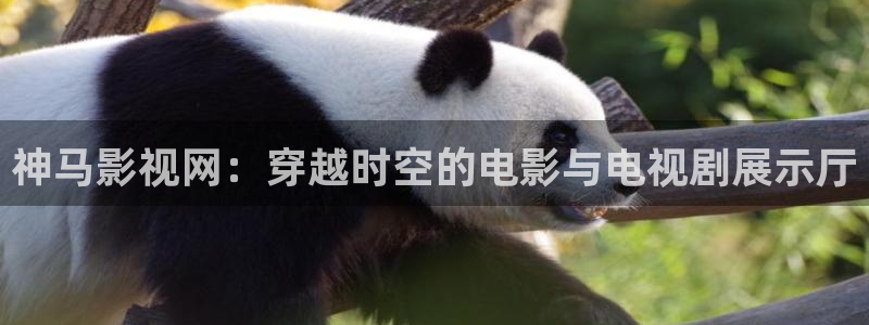 理论理电影天堂